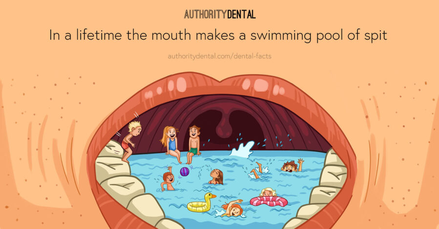 Graphic illustration with a fun dental fact about the amount of saliva made in a lifetime.